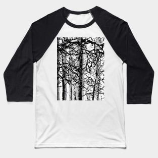 Birches Baseball T-Shirt